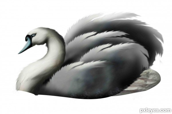 Creation of Blue swan: Step 8